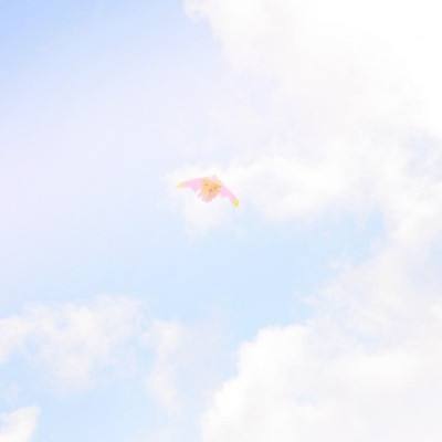 师父貌美如花破解版下载